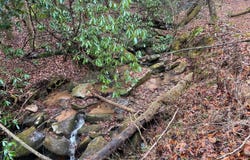 Russell Gap Rd, Taylorsville, NC 28681
