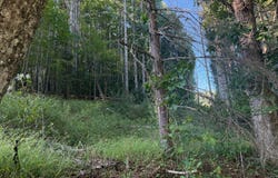 4132 Cornstalk Rd, Crawley, WV 24931