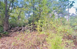 Apple Tree Rd, Gilmer, TX 75644