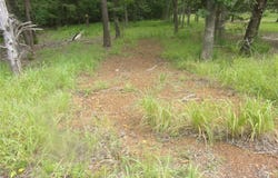 944 Whipporwill, Murchison, TX 75778