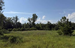 Stoney Court, Dillon, SC 29536