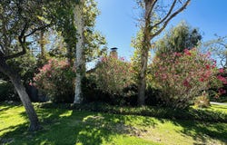 629 Roskilde Road, Solvang, CA 93463