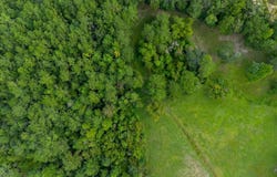 402 Mistletoe Lane, Monticello, FL 32344