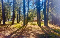 244 Watson Road, Chester, CA 96020