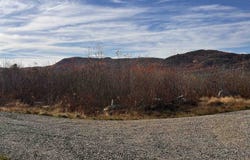 McIntyre Road lot: 7, Dalton, NH 03598