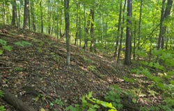 Deer Trail, Garrison, MN 56450