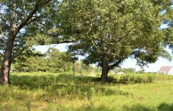 ... Biltmore Drive, McComb, MS 39648