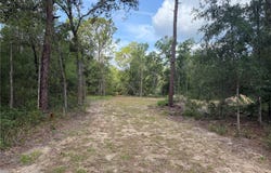 IDLEWOOD Drive, WEBSTER, FL 33597