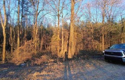 ZUBERS ROAD lot: 0, SYLACAUGA, AL 35150