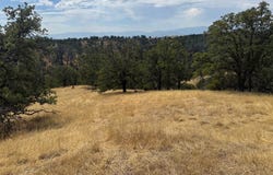 16173 Nugget Road, Corning, CA 96021