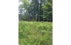 M-55, Whittemore, MI 48770
