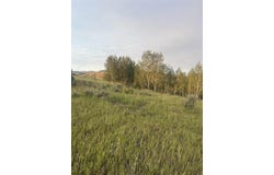 Hoot Owl RD, Inkom, ID 83245