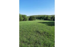 1535 W Elderberry Lane, Brighton, MO 65617