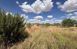 Highway 208, Hermleigh, TX 79526