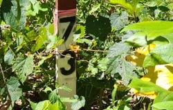 Tomahawk Rd lot: 73, Jamestown, TN 38556