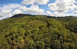 Hogan Hollow Rd lot: 85-91 And 91B, Troutville, VA 24145