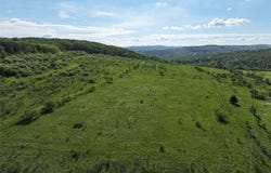 Shaffer Road, Cuba, NY 14727