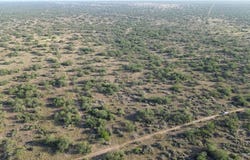 Mendoza Road, Zapata, TX 78076