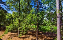 690 Riverwalk Dr., Myrtle Beach, SC 29579