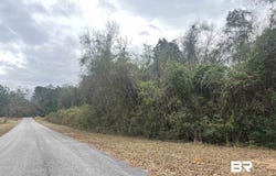 3000 Block N Pine Barren Road, McDavid, FL 32568