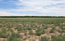 6525 Valle Del Rio Drive, La Mesa, NM 88044