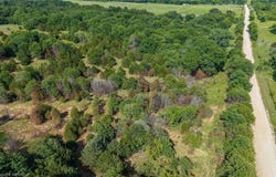 Tract 4 Acme RD, Asher, OK 74826