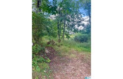 7526 CAHABA AVENUE lot: 9/1, LEEDS, AL 35094