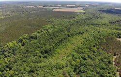 Tbd A Confederate Highway, Fairfax, SC 29827