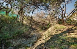 11622 February Dr, Austin, TX 78753
