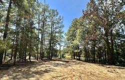 Race Track Road, West, MS 39192