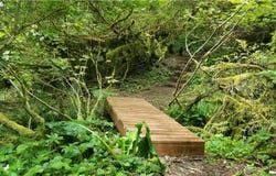 136 PEPPERMILL Rd, Kelso, WA 98626