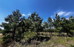 62 BR Johnson Road, Broken Bow, OK 74728