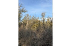 156 Helemano Dr, Bastrop, TX 78602