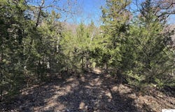 35.8 Acres Whitetail Way, Lincoln, MO 65338