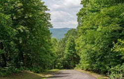 120 Ivywood Lane, Laurel Park, NC 28739
