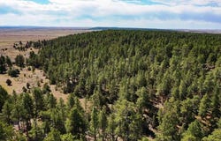 Pine ridge road, Moorcroft, WY 82721