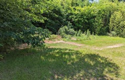 609 Lear Avenue, Camden, AR 71701