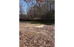 Chasin Fin Drive, Many, LA 71449