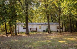 10123 Dorlac Drive, Cadet, MO 63630
