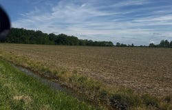 Brown Road, Ostrander, OH 43061