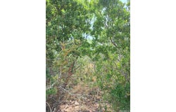 CR 148, Kenedy, TX 78119
