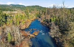 38961 PLACE Rd, FallCreek, OR 97438