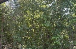 Bauman Road, Richmond, MI 48063