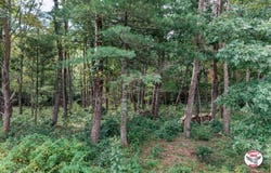 Mountain Vista Estates lot: 80, Crossville, TN 38571