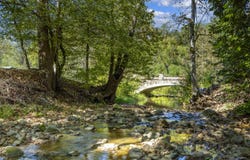 1320 Mountain Ash Way, Sevierville, TN 37876