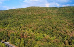 Hwy 9 S, Mountain View, AR 72560