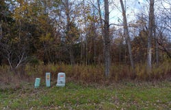 603 Country Drive, Perry, MI 48872