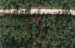 W Basford Street, Interlachen, FL 32148