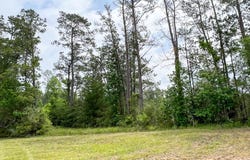 FM 2937/Old Arco Road, Silsbee, TX 77656