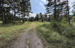 15677 SR 7N, Dover, AR 72837
